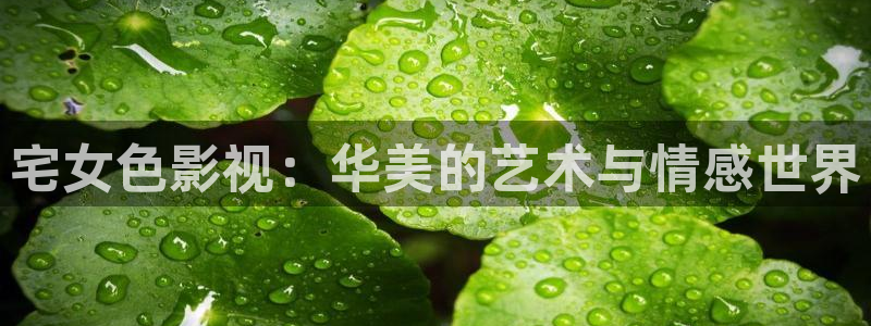 久久午夜理论电影