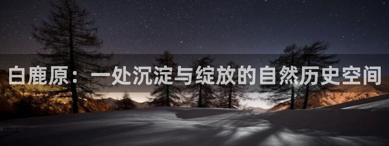 熟女久久免费视频