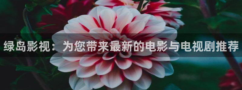 久久日视频免费观看