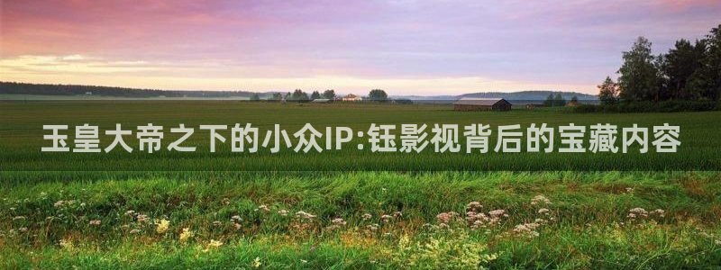澳门久久福利视频
