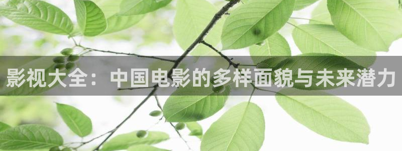 久久影院在线观看电视剧