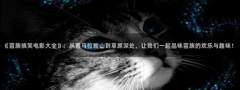 久久精品视频100
