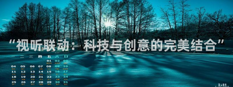 国产高清久久精品