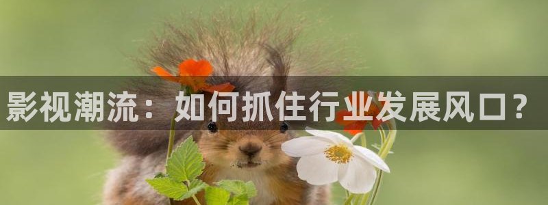久久99视频观看